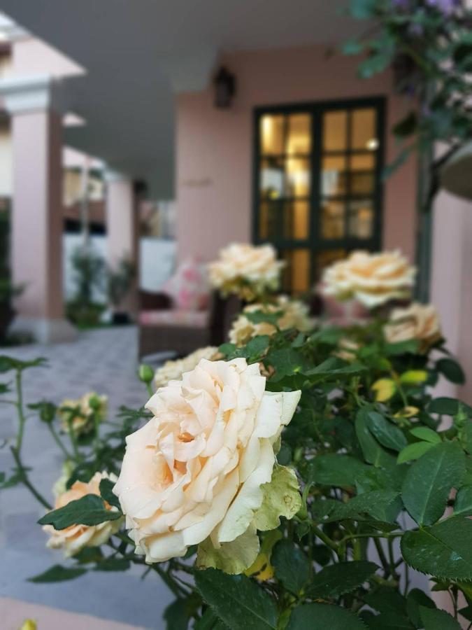 شيانغ ماي Hotel Rosy المظهر الخارجي الصورة